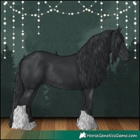 Horse Color:Black Tobiano Rabicano 