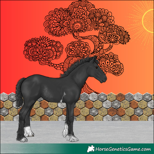 Horse Color:Black Tobiano Rabicano 