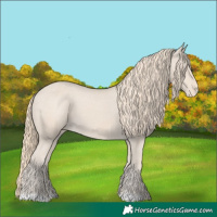 Horse Color:Smoky Creme Appaloosa 