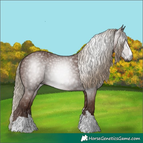 Horse Color:Gray Chestnut 