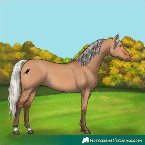 Horse Color:Silver Bay Dun Rabicano 