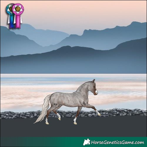 Horse Color:Liver Red Roan Mushroom 