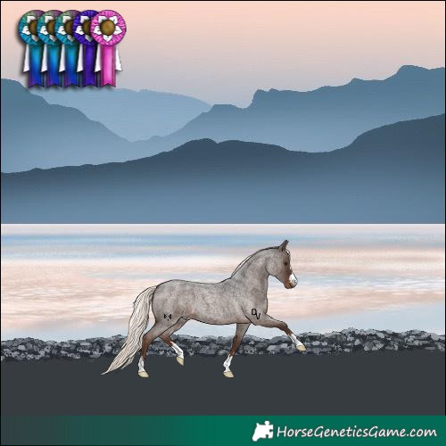 Horse Color:Liver Red Roan Mushroom 