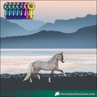 Horse Color:Liver Red Roan Mushroom