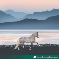 Horse Color:Liver Red Roan Mushroom 