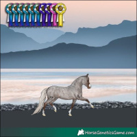 Horse Color:Liver Red Roan Mushroom