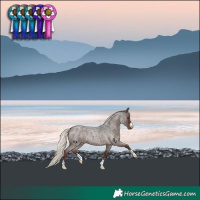 Horse Color:Liver Red Roan Mushroom