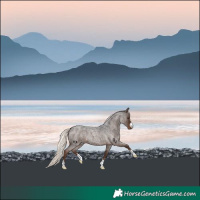 Horse Color:Liver Red Roan Mushroom