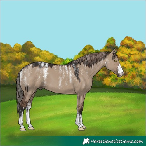 Horse Color:Powder White Liver Red Dun 