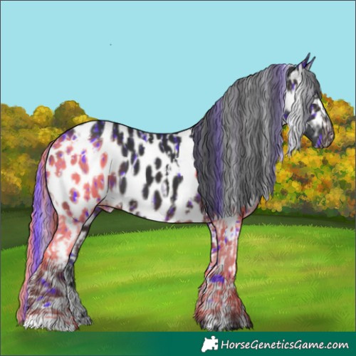 Horse Color:Watercolor White Spotted Brown Leopard  and Painted White Spotted Brown Near Leopard 
