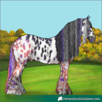 Horse Color:Watercolor White Spotted Brown Appaloosa and Painted White Spotted Brown Appaloosa