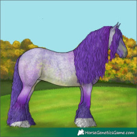 Horse Color:Watercolor Brown Roan