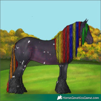 Horse Color:Painted White Spotted Brown 
