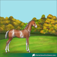 Horse Color:White Spotted Silver Bay Splash 