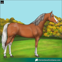 Horse Color:White Spotted Silver Bay Splash