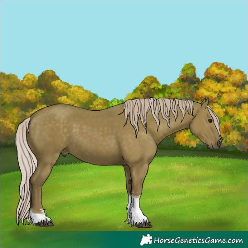 Horse Color:Silver Grullo Sabino Tobiano Rabicano 