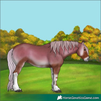 Horse Color:Silver Blue Onyx Tobiano 