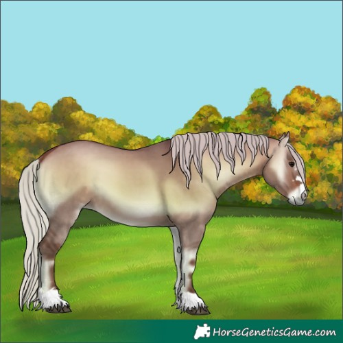 Horse Color:Silver Bay Onyx 