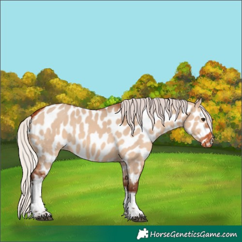Horse Color:Silver Bay Dun Tobiano Near Leopard 