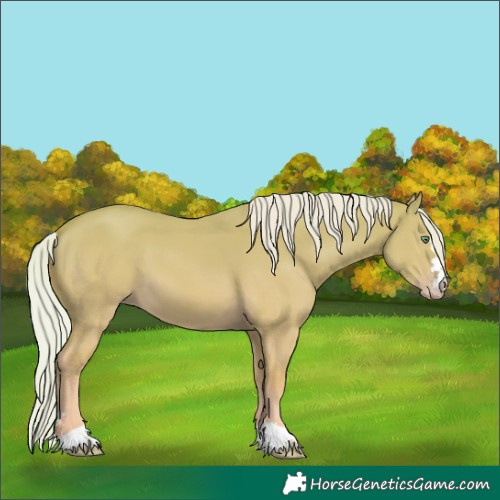 Horse Color:Silver Amber Cream Champagne Dun 