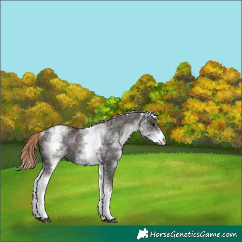 Horse Color:White Spotted Midnight Liver Red Dun Ice