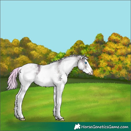 Horse Color:Watercolor White Spotted Midnight Silver Bay Ice Dun Splash 
