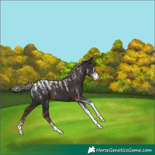 Horse Color:Powder White Liver Chestnut 