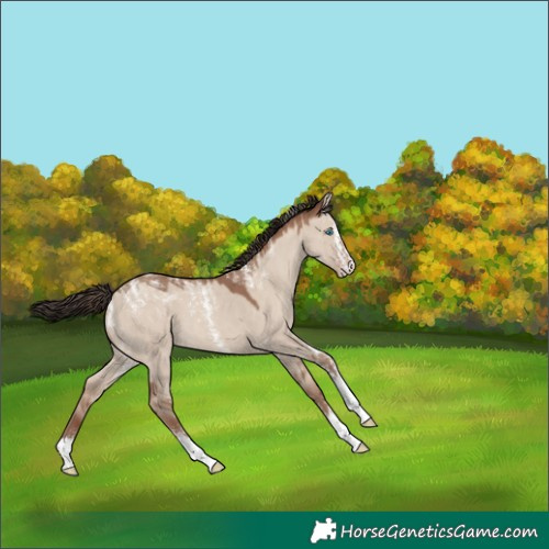 Horse Color:Powder White Classic Champagne Dun 