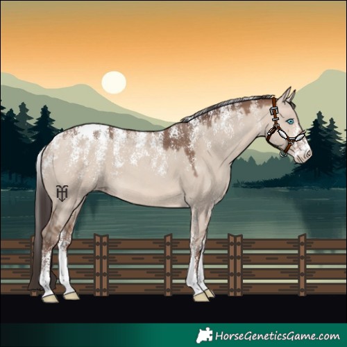 Horse Color:Powder White Sable Champagne Dun 