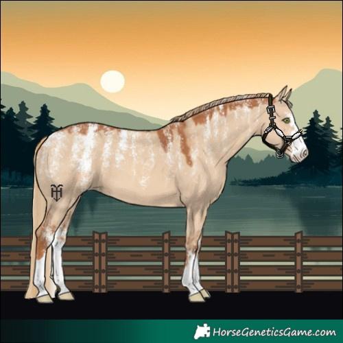 Horse Color:Powder White Red Dun 