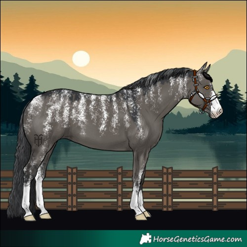 Horse Color:Powder White Grullo 