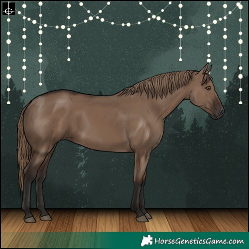 Horse Color:Liver Red Dun Rabicano