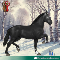 Horse Color:Gray Black 