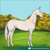 Horse Color:Cremello 