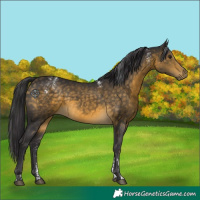 Horse Color:Powder White Buckskin