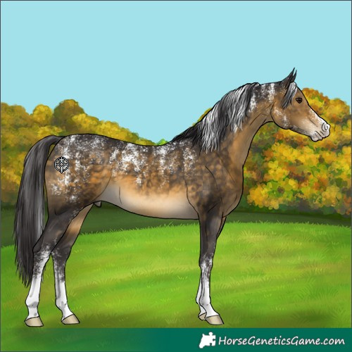 Horse Color:Powder White Buckskin 