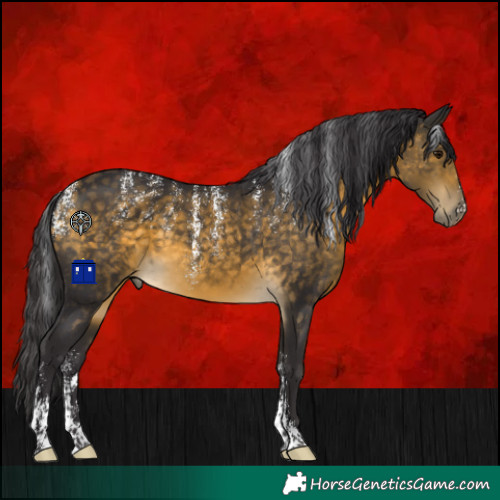 Horse Color:Powder White Buckskin 