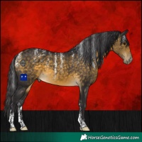 Horse Color:Powder White Buckskin 