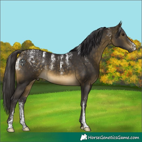 Horse Color:Powder White Buckskin 