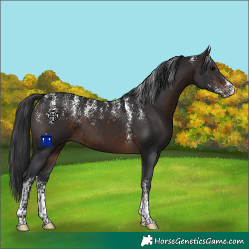 Horse Color:Powder White Brown 