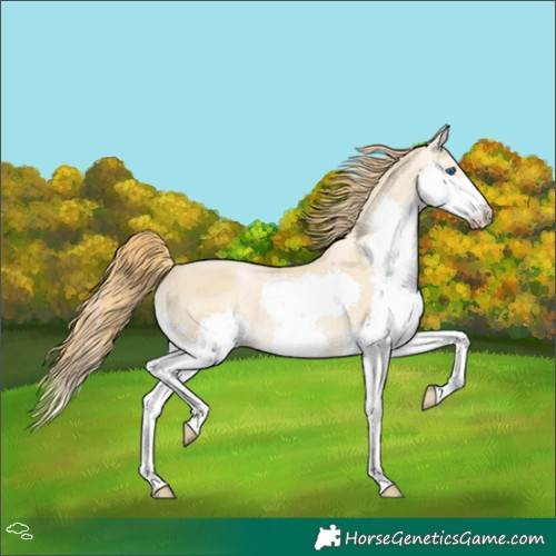 Horse Color:Smoky Black Pearl Splash 