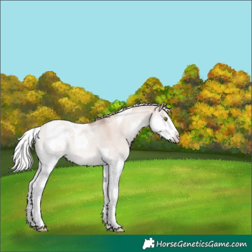 Horse Color:Silver Sable Champagne Dun Splash Tobiano 