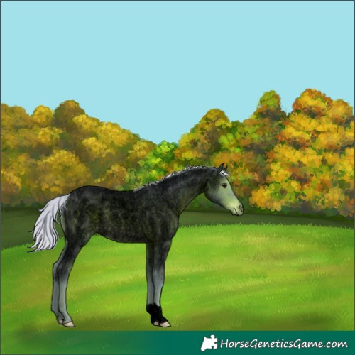 Horse Color:Void Watercolor Silver Brown Roan 
