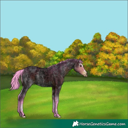 Horse Color:Void Watercolor Brown Ice Roan
