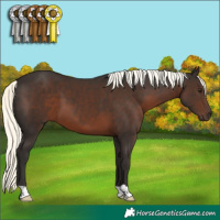 Horse Color:Liver Chestnut Mushroom 