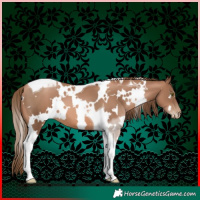 Horse Color:White Spotted Liver Chestnut Pearl Tobiano