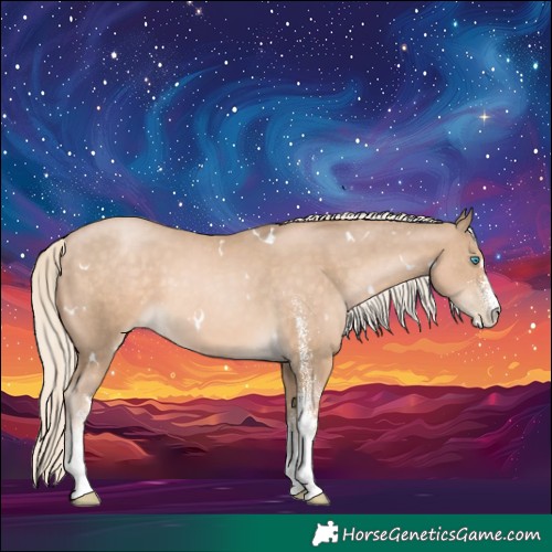 Horse Color:White Spotted Chocolate Palomino Pearl