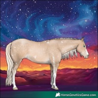 Horse Color:White Spotted Chocolate Palomino Pearl 