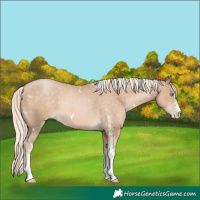 Horse Color:White Spotted Chocolate Palomino Pearl 
