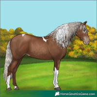 Horse Color:Gray Silver Black Pearl Tobiano 